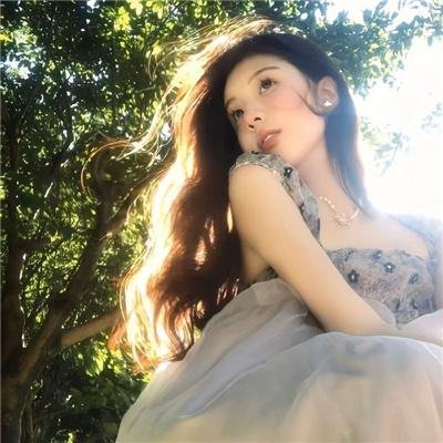 雁南飞